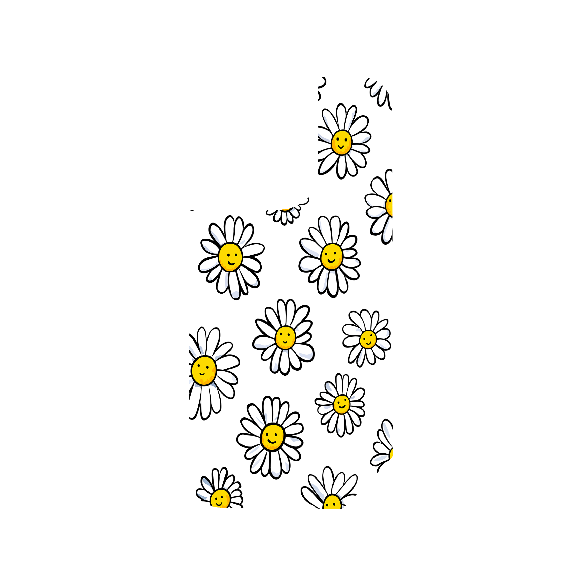 DAISIES