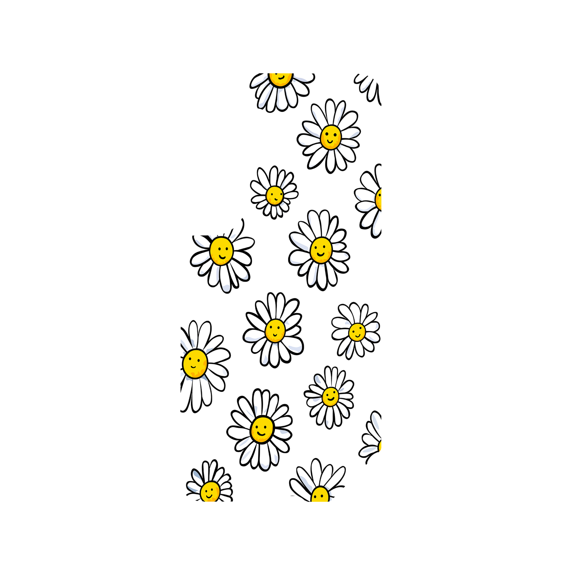 DAISIES