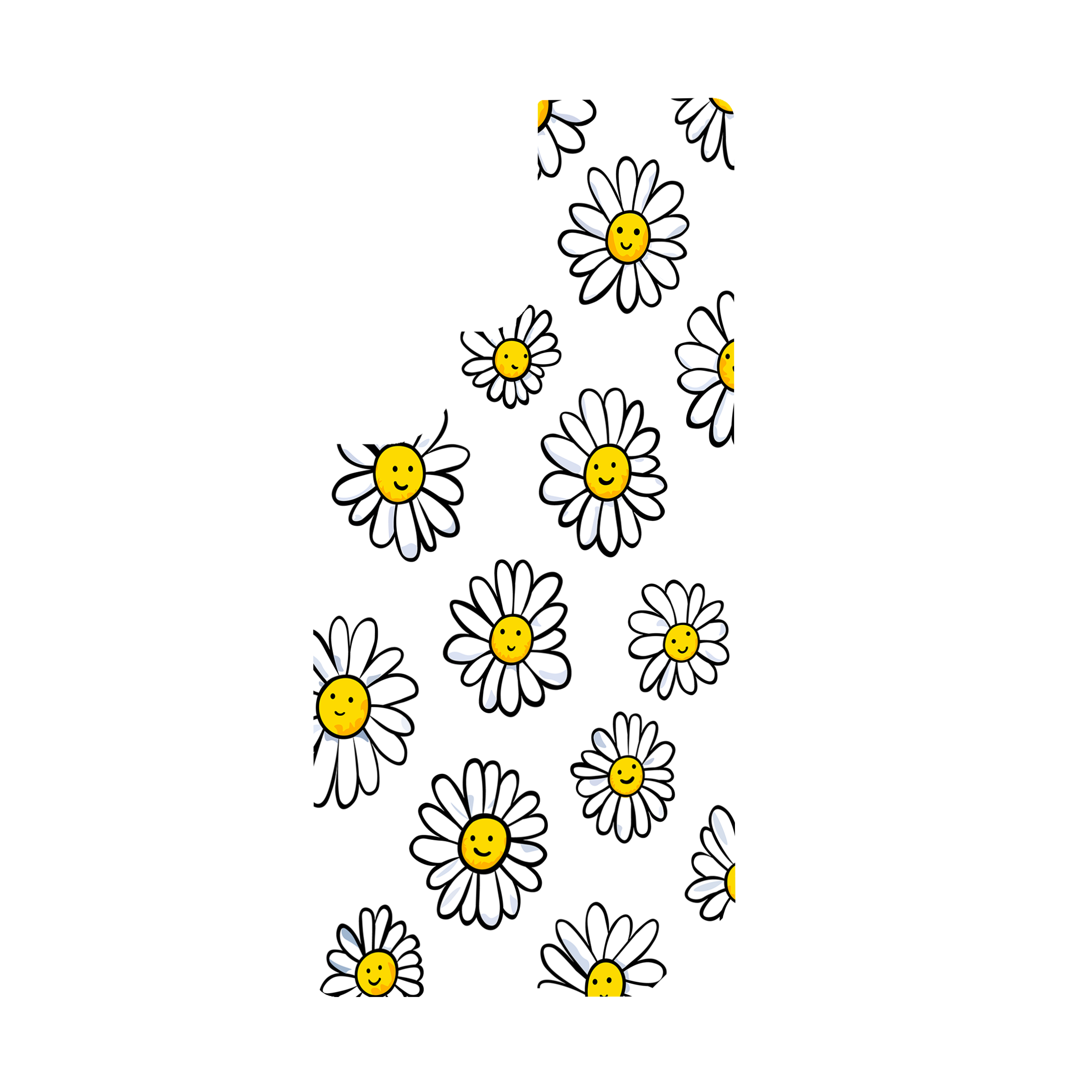 DAISIES