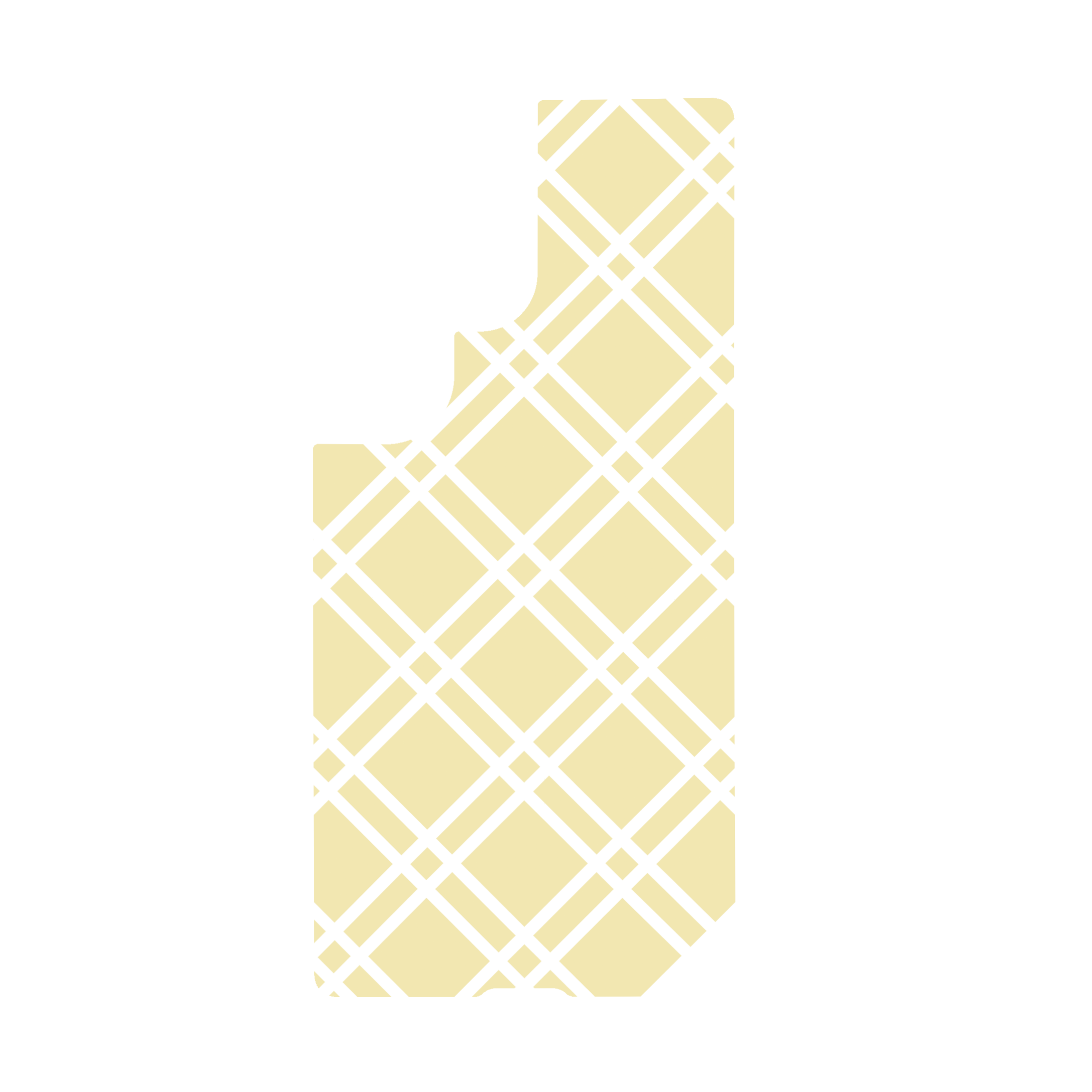 SUNNY CROSSED GRID