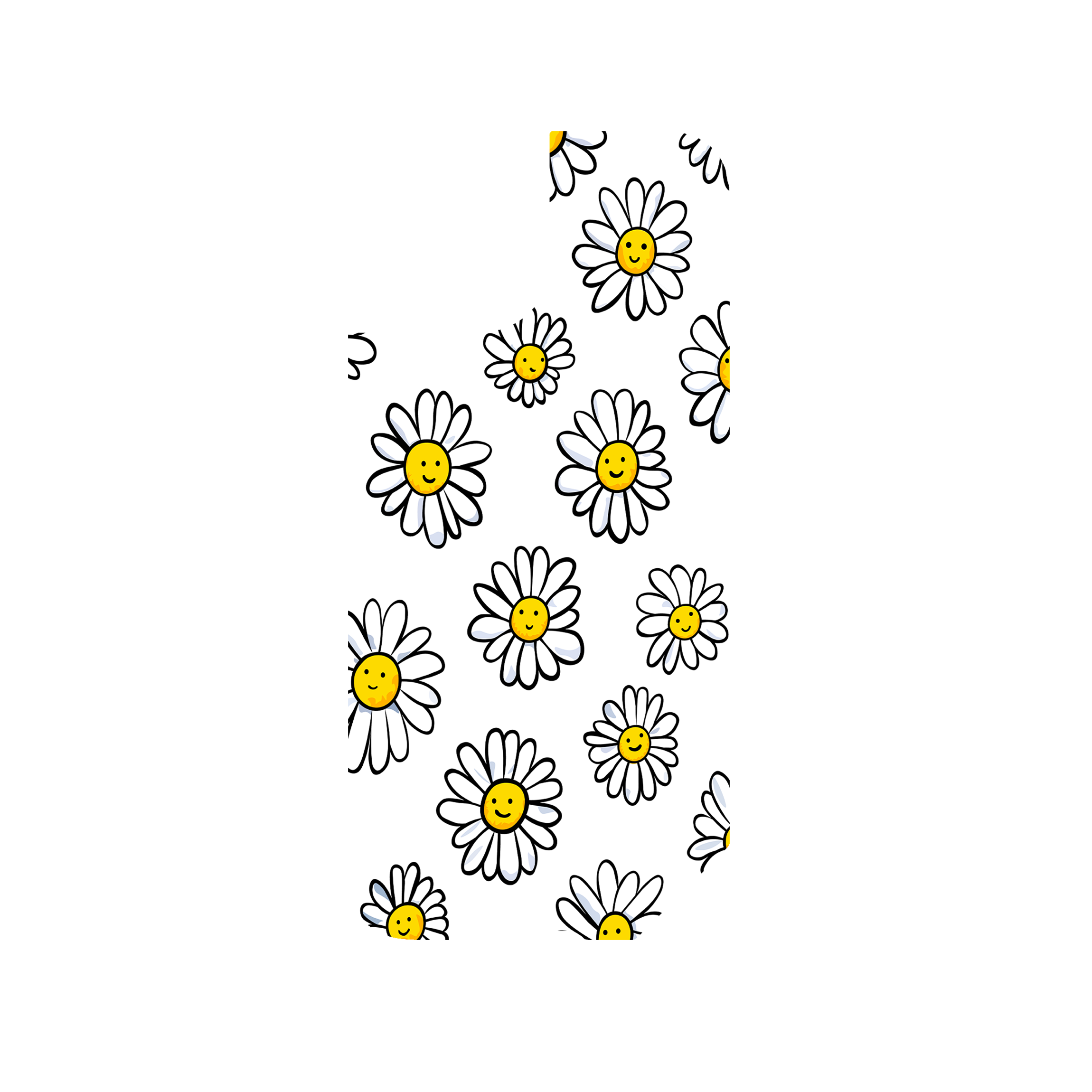 DAISIES