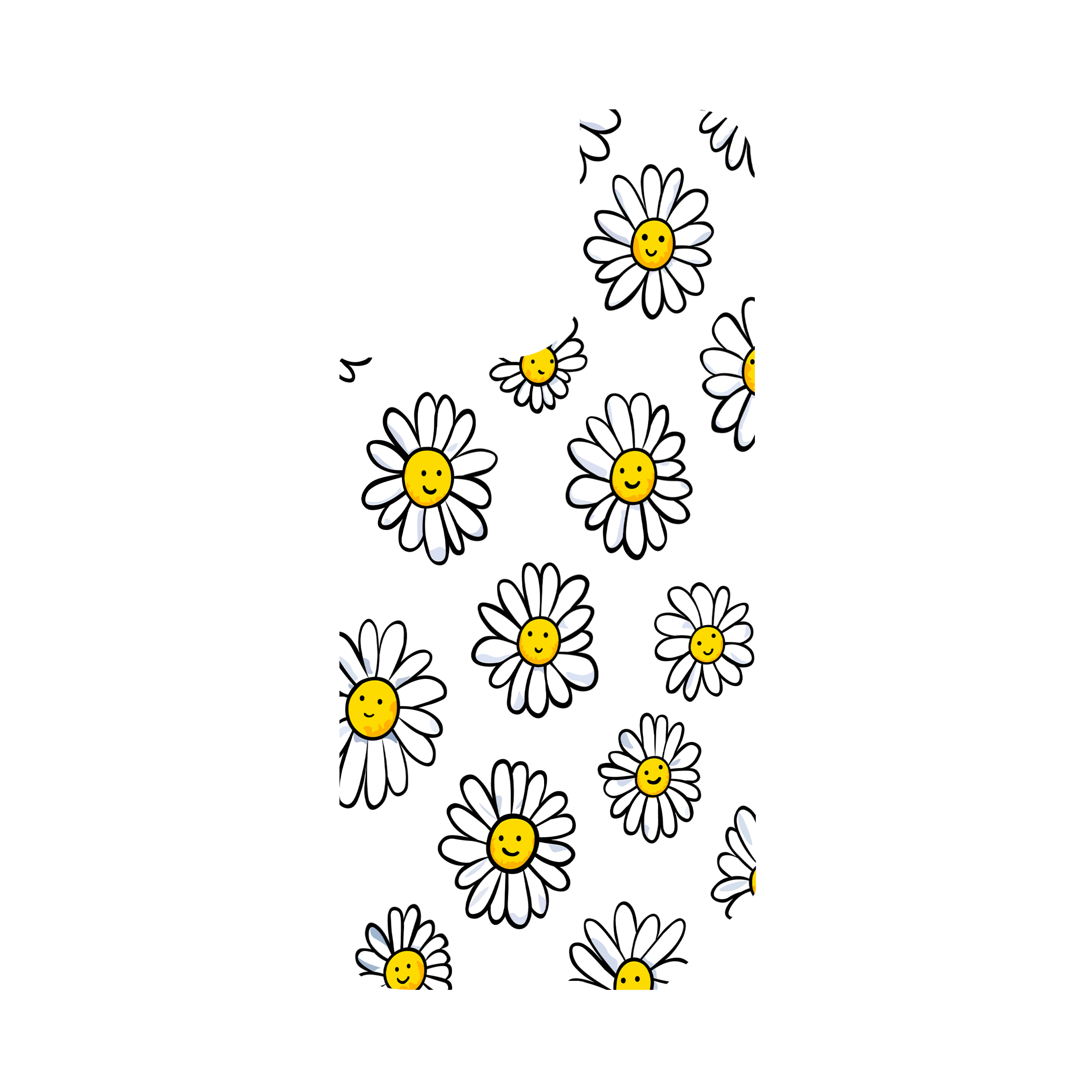 DAISIES