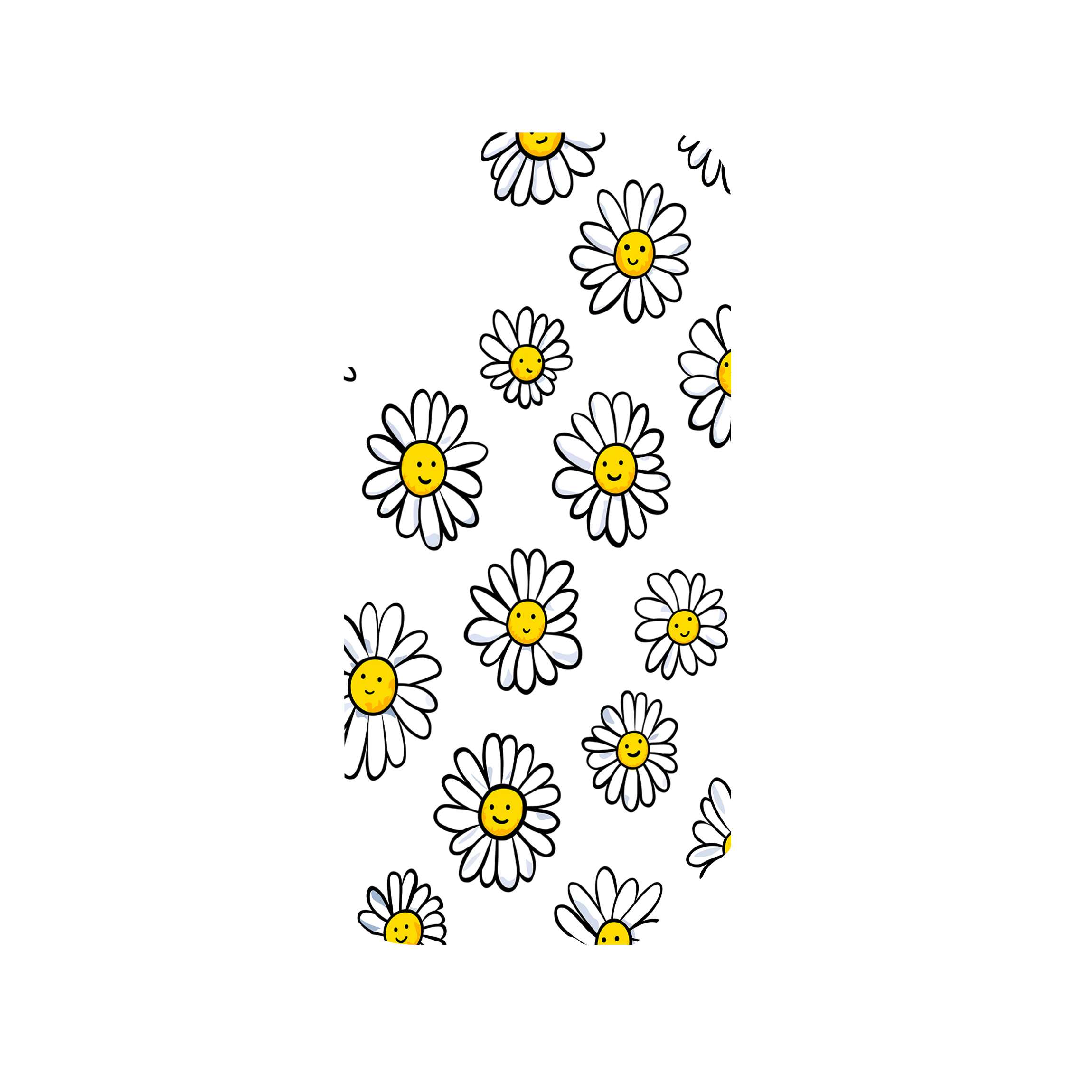 DAISIES